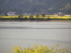 -东梓关景区村庄