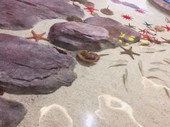 -福州罗源湾海洋世界旅游区