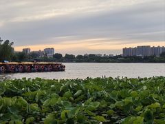 -济南大明湖景区