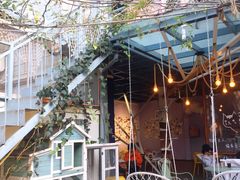 -喵屿·大理花园猫咖