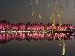 -东湖生态旅游风景区