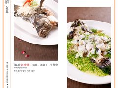 特色鱼-香浙汇(望京店)