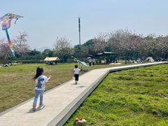 -风云岭森林公园