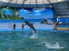 -尼莫海豚馆