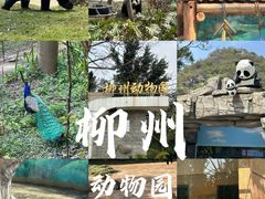 -柳州市动物园