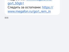 -谢列梅捷沃国际机场