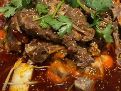 -小龙跃.羊蝎子火锅(凤凰北街店)