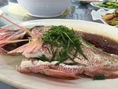 -明记海鲜大排档(巽寮湾店)