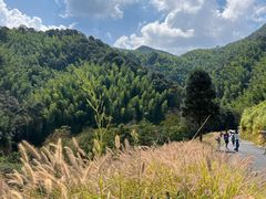 -龙岩森林水乡景区