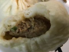 猪肉大葱-老陶包子铺(南大西南村店)