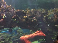 -运城海洋馆