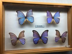 -青藏高原自然博物馆