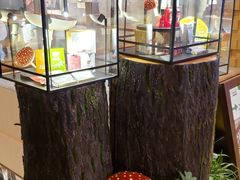 -K11 Design Store