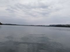 -丁香湖公园