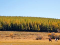 -塞罕坝国家级自然保护区