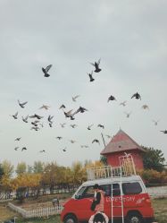 -上美四季动物农场