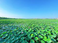 -天津东丽湖风景区