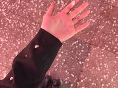 -VT101维多利广场