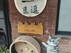 -豆逗聊愈猫阁Easy Life