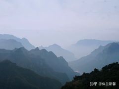 -王莽岭风景区