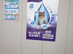 -半岛宠物医院24小时(科华中路店)