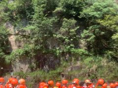 -雅鲁激流探险漂流