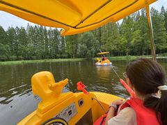 -黄海国家森林公园