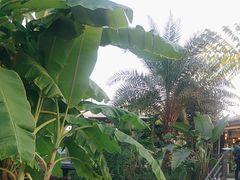 -茅草房·河畔园林火锅