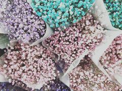 -秦美花卉(天朗·莱茵小城2期店)
