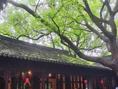 -上海醉白池公园