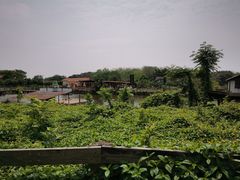 -海上田园
