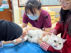-美联众合动物医院·24h转诊中心