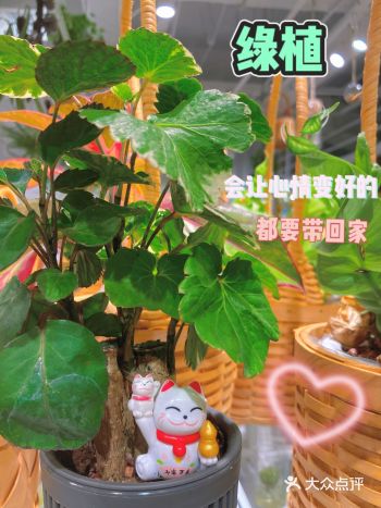 青春就是绿色永远都散发活力