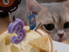 -DRUNK BAKER(上海陕康里店)