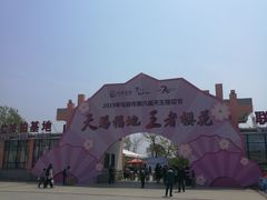 -天王浮山樱花园