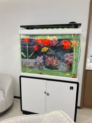 -丰联丽格医疗美容·联合丽格眼整形中心