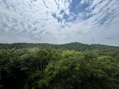 -南山风景名胜区
