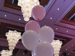 -上海浦东星河湾酒店