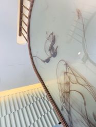 -Mr.JUDY洗个头发