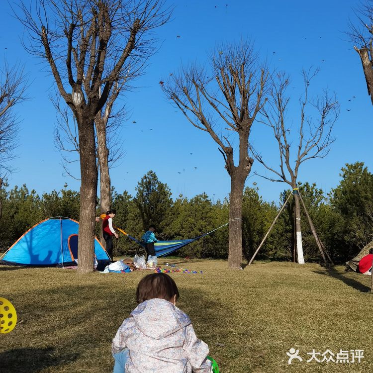 曲江休闲攻略！遛狗溜娃这里很行！不要钱