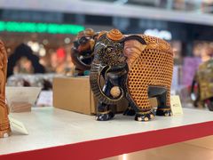 -英迪拉·甘地国际机场