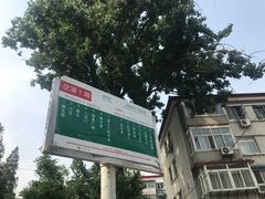 -京氣春饼(机场店)