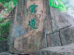 -梧桐山风景名胜区