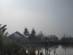 -桤木河湿地公园