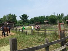 -田园东方蜜桃村的田野营地