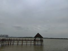 -瑶湖郊野森林公园