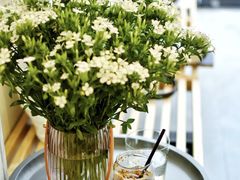 -red donkey coffee
