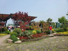 -上海长兴岛郊野公园