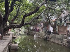 -小洲村