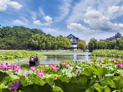 -南戴河国际娱乐中心